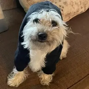 Hi I'm KidFuryLFC